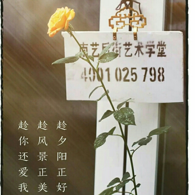 大秋画室-张雨薇