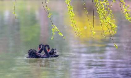 春天到了，一切都会变好～ 