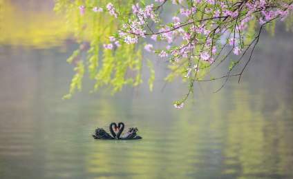 春天到了，一切都会变好～ 