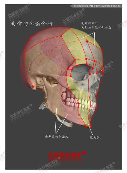 #北京周达画室全体系教学#  作品选自-《十年经典大造型》系列书籍 这是 