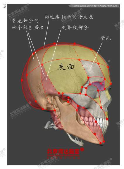 #北京周达画室全体系教学#  作品选自-《十年经典大造型》系列书籍 这是 