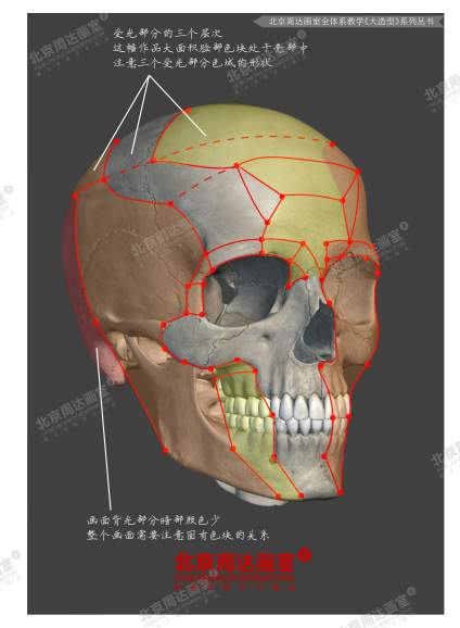 #北京周达画室全体系教学#  作品选自-《十年经典大造型》系列书籍 这是 