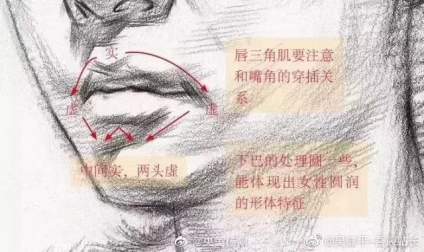 素描头像重点分析 