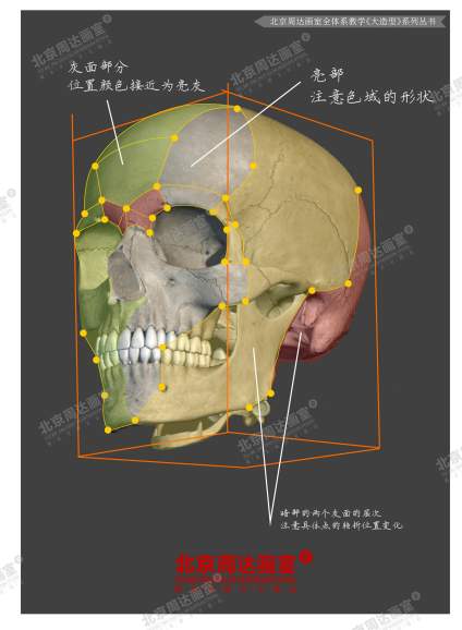 #北京周达画室全体系教学#  作品选自-《十年经典大造型》系列书籍 1、 