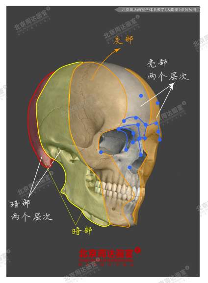 #北京周达画室全体系教学#  作品选自-《十年经典大造型》系列书籍 这是 