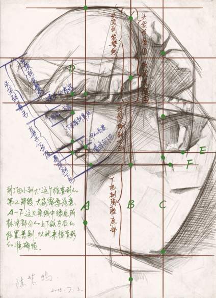 石膏像知识点 