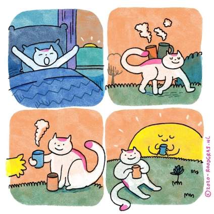 哈哈哈，太搞笑了，和猫咪有关的趣味漫画，看一次笑一次！ 