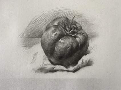 来个素描西红柿单体，喜欢的同学收藏了 