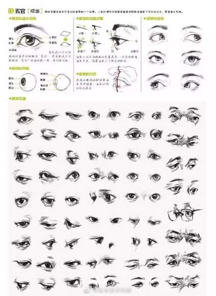分享一组速写的五官干货，喜欢的同学收藏了。 