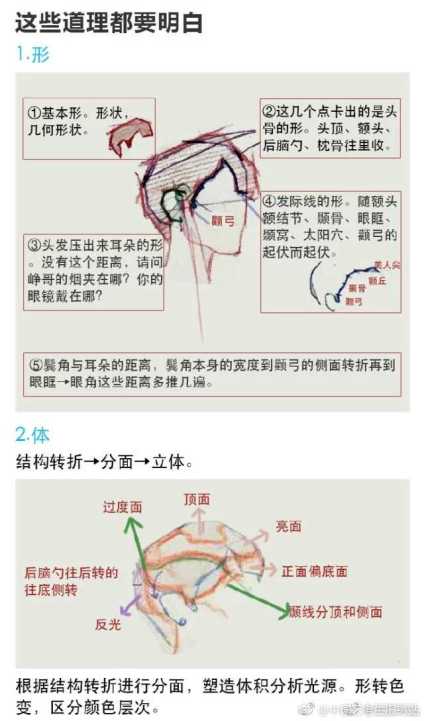 头发的要点 