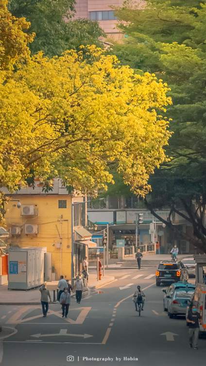 从来没有这么期待一个夏天 