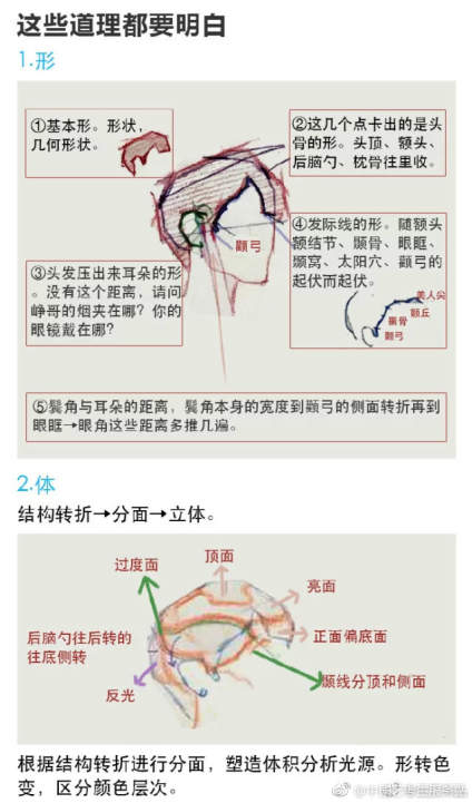 头发 分析 