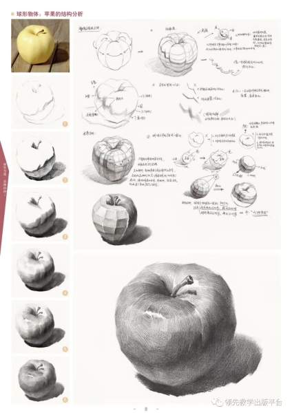 苹果的结构剖析和作画步骤，不会的同学收藏了。 