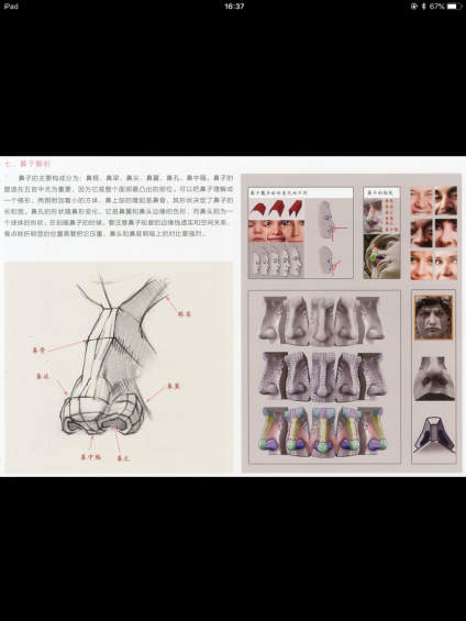彩头五官，欢迎收藏 
