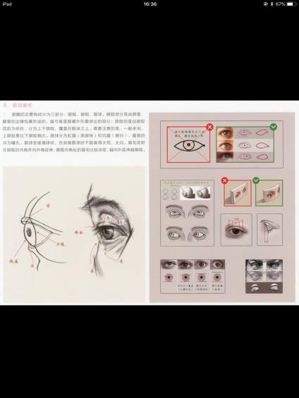 彩头五官，欢迎收藏 
