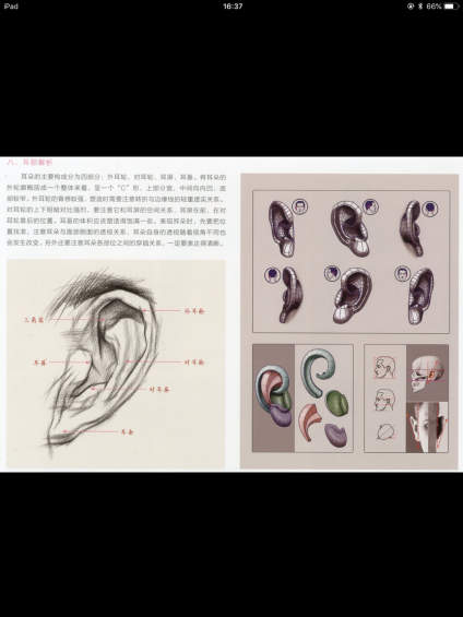 彩头五官，欢迎收藏 