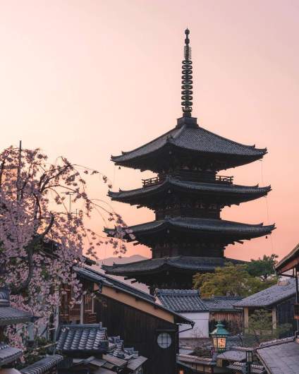 樱花🌸🌸🌸 