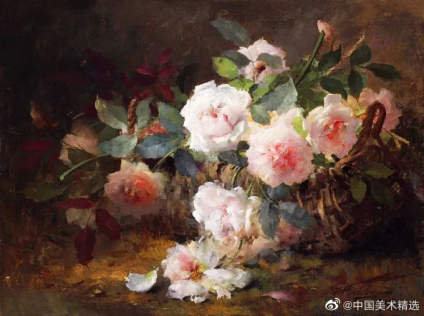 多情的月季 Frans Mortelmans ​​​ 