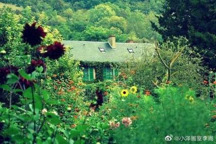 绿色风景春天来了 