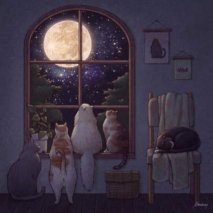 【‌22年助万名考生入名校——求索传奇画室】家有猫咪🐱  by  Limduey ​​​ 