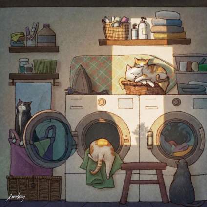 【‌22年助万名考生入名校——求索传奇画室】家有猫咪🐱  by  Limduey ​​​ 
