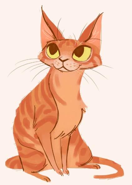 【‌22年助万名考生入名校——求索传奇画室】【猫咪】  来自：插画师 Heather Nesheim ​ ​​​ 