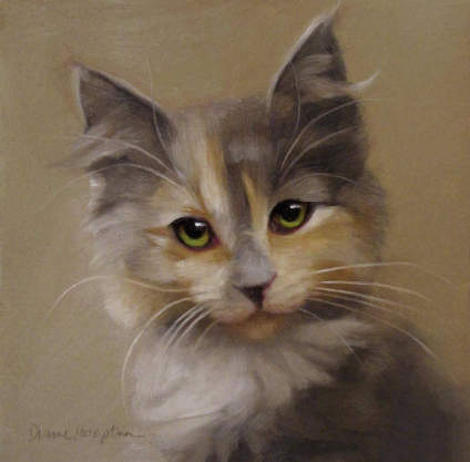 猫咪 Diane Hoeptner ​​ 