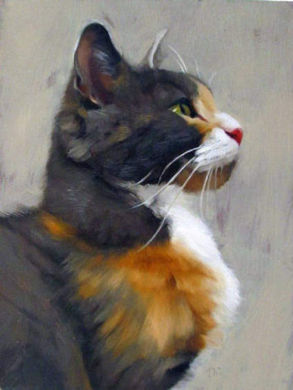 猫咪 Diane Hoeptner ​​ 