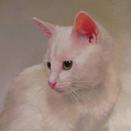 猫咪 Diane Hoeptner ​​ 