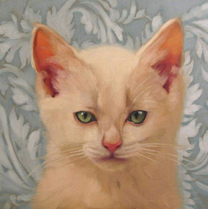 猫咪 Diane Hoeptner ​​ 