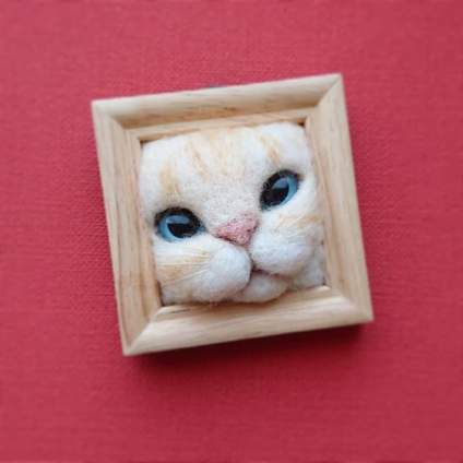 吃可爱长大的猫 