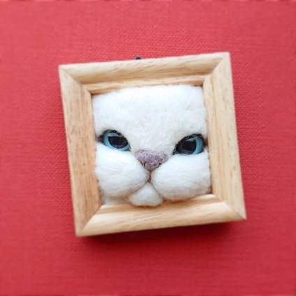 吃可爱长大的猫 