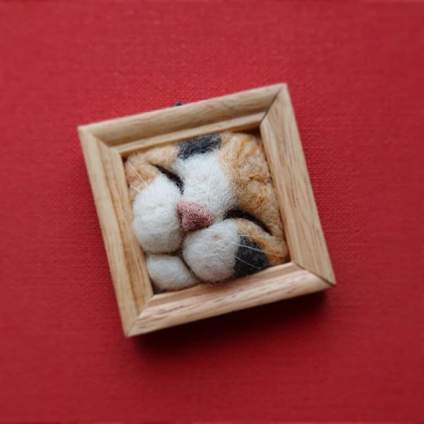 吃可爱长大的猫 