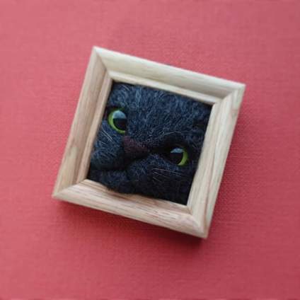 吃可爱长大的猫 