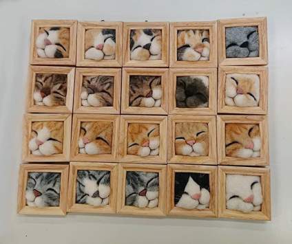 吃可爱长大的猫 