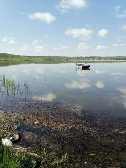 风景照片走一波，一个在这样无忧无虑的地方。看着风景，迎着小风，带上你喜欢 