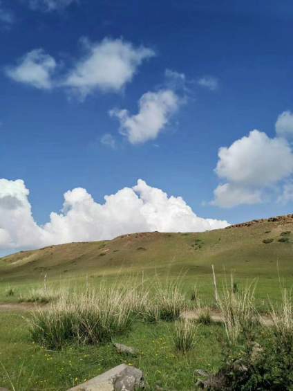 风景照片走一波，一个在这样无忧无虑的地方。看着风景，迎着小风，带上你喜欢 