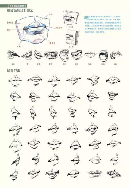 美术绘画素材——速写五官、头、手和脚素材参考 