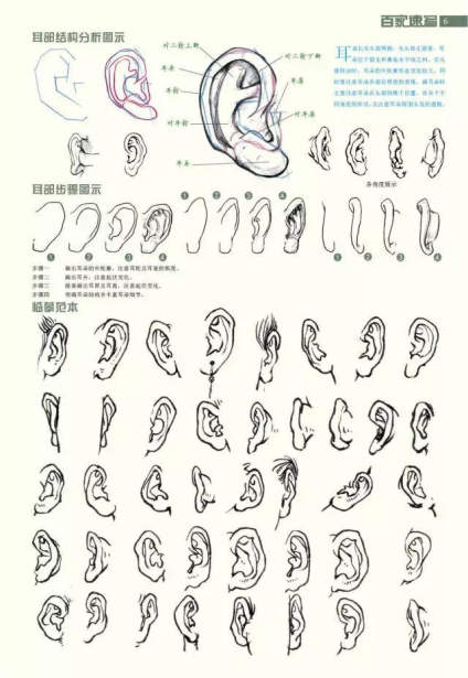 美术绘画素材——速写五官、头、手和脚素材参考 