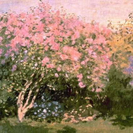 Monet 