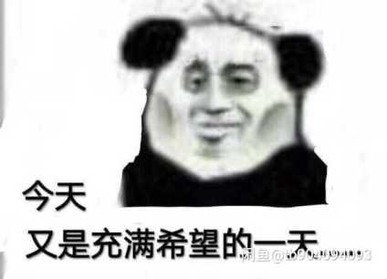 老师打个分吧 