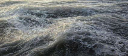 Ran Ortner，美国画家，现年56岁，居住在纽约，18岁开始在加州 