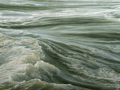 Ran Ortner，美国画家，现年56岁，居住在纽约，18岁开始在加州 