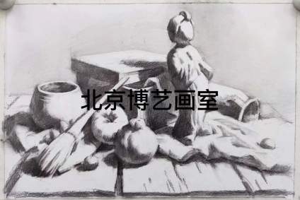 【天津美术学院】北京博艺画室｜头像结构  头像静物色稿 