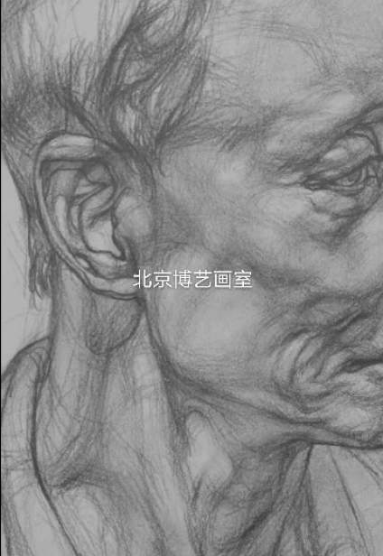 【滴~素描卡】北京博艺画室｜结构素描步骤示范 