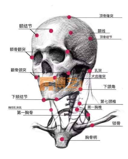 寒假班重磅来袭｜持续火热招生中 对设计感兴趣的小伙伴快来看看吧 👏 👏  