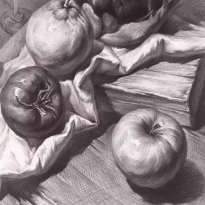 素描静物