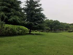 上海新艺合画室校园图7