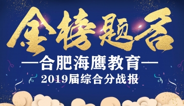 综合分高分缔造者！专业文化双过关！——合肥海鹰教育2019届美术综合分成绩捷报