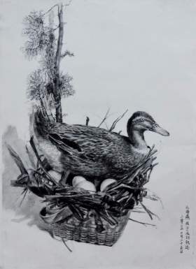 成功轨迹广西分校素描图13
